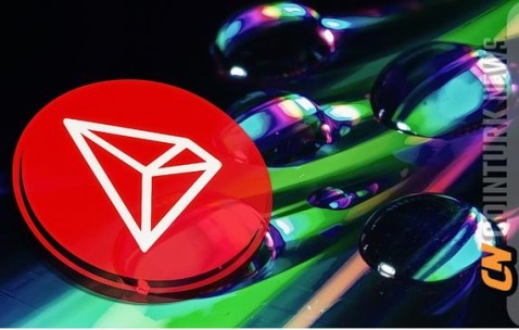 包含TRON投资骗局被揭发，已有超17.56人被骗！的词条-爱游戏电竞