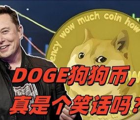 狗狗币官宣与265携手，开启元宇宙新纪元！-爱游戏电竞