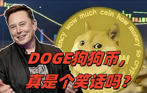 狗狗币官宣与265携手，开启元宇宙新纪元！-爱游戏电竞