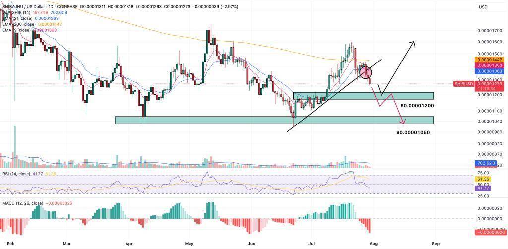 关于SHIB上扬势惊人，一夜飙升30.82%，加密市场沸腾的信息