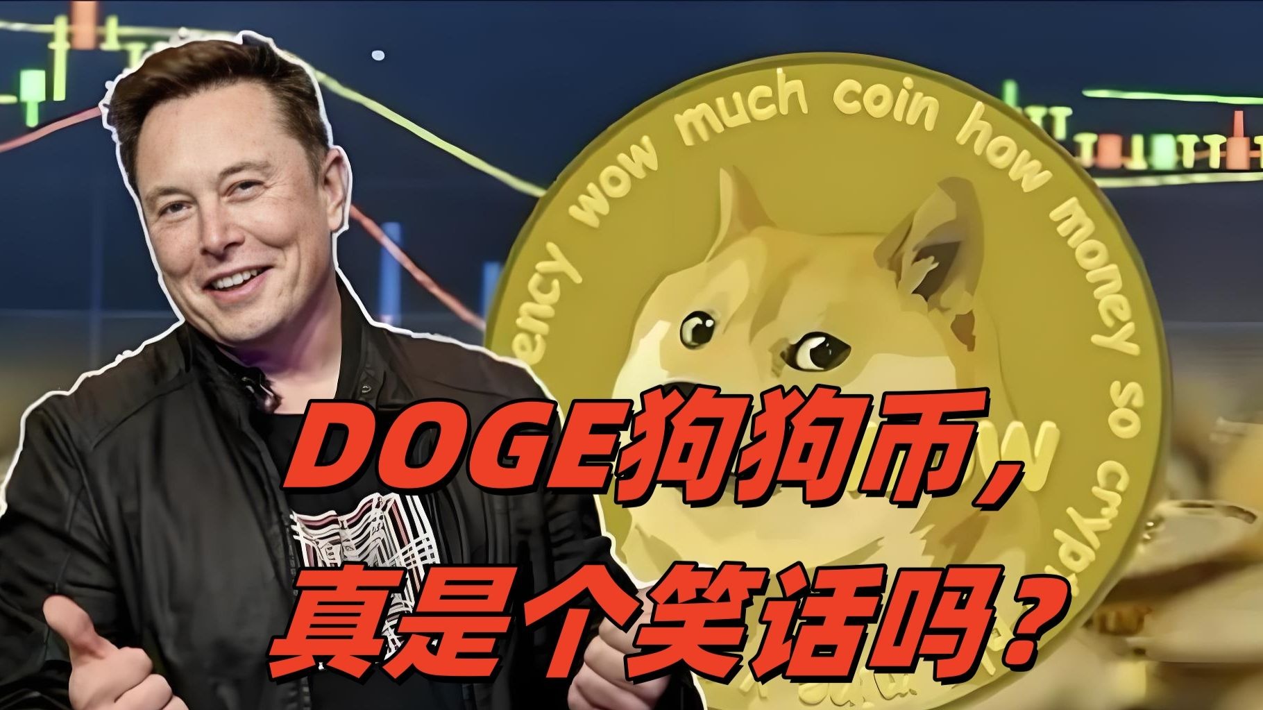 狗狗币官宣与265携手,开启元宇宙新纪元! 狗狗币官宣与265携手,开启元宇宙新纪元!