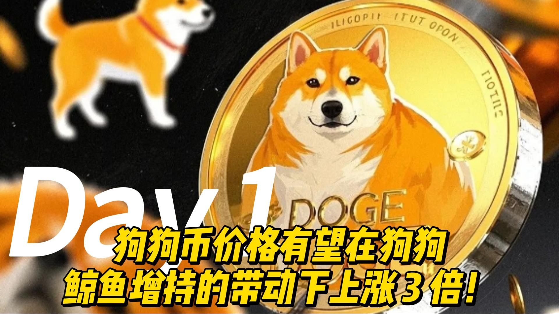 狗狗币官宣与265携手,开启元宇宙新纪元! 狗狗币官宣与265携手,开启元宇宙新纪元!